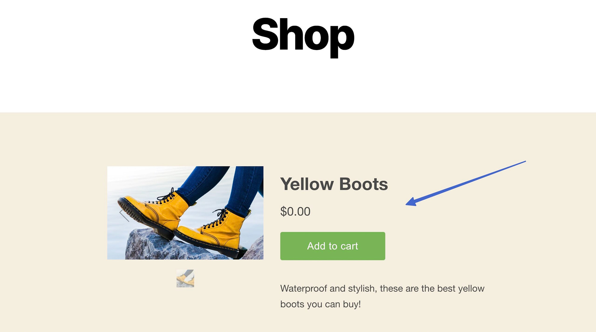 preview of the full view Shopify WordPress integration 