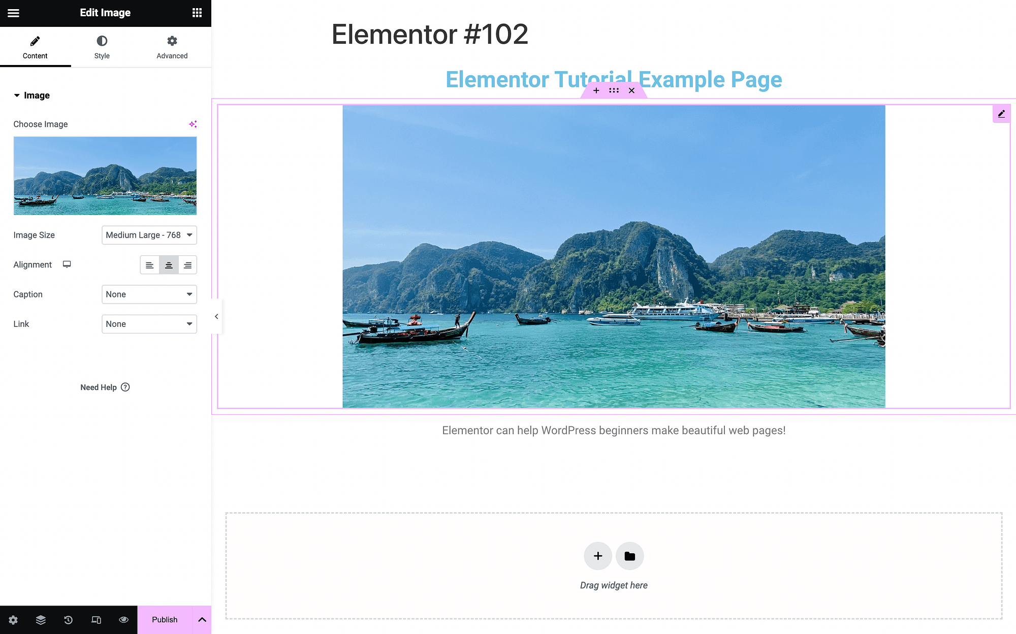 Elementor tutorial on choosing an image for your image widget.