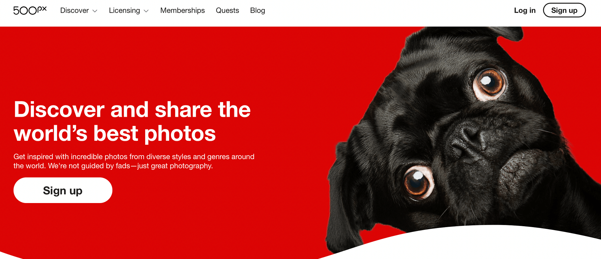 500px homepage.