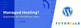 What Is Managed WordPress Hosting (And Do You Need It)?