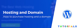 How to Buy Hosting and a Domain Name for Your WordPress Blog