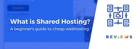 What Is Shared Hosting? Is It Good? (Beginner’s Guide)