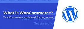 What Is WooCommerce? WooCommerce 101, Explained for Beginners