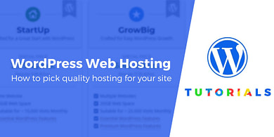 wordpress web hosting company