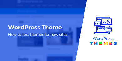 test a WordPress theme