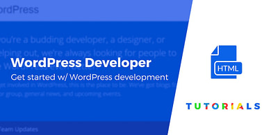 how to become a wordpress developer