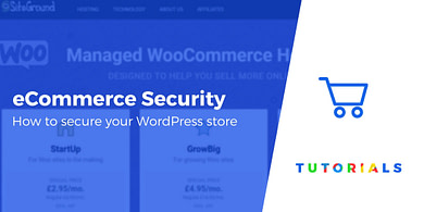 eCommerce security