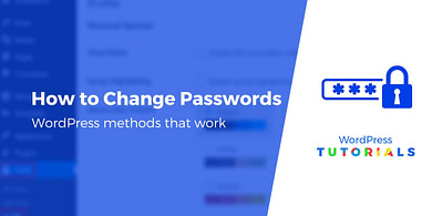 How to change password WordPress