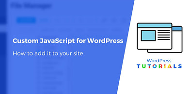 custom javacript wordpress