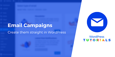 wordpress email campaign