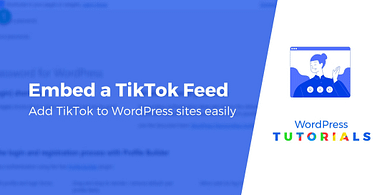 Embed TikTok feeds WordPress