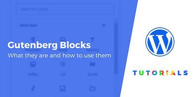 Gutenberg Blocks
