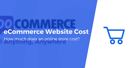 eCommerce website cost