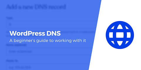 wordpress dns