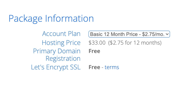 Bluehost pricing plan options to buy hosting and a domain name during the checkout process.