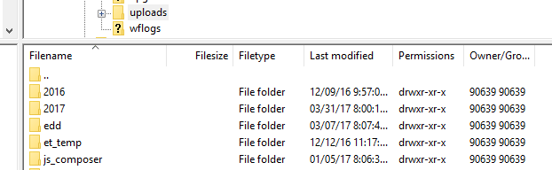 The wp-content folder.
