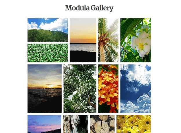 Modula gallery example