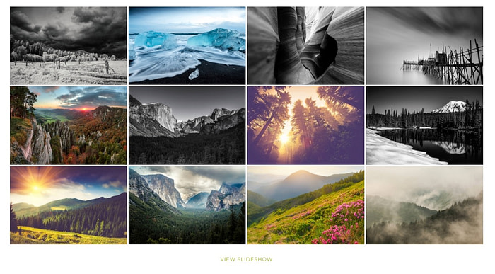 NextGen Gallery is one of the deepest WordPress gallery plugins