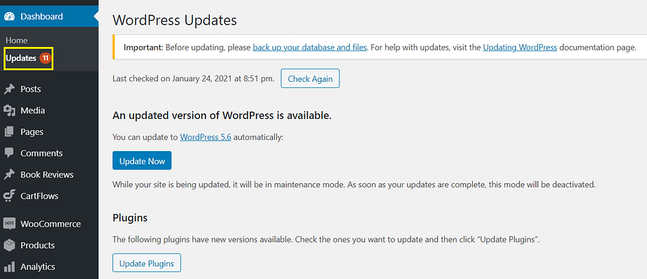 Checking for regular Updates section in the WordPress admin dashboard is a key tactic in WordPress brute force protection.