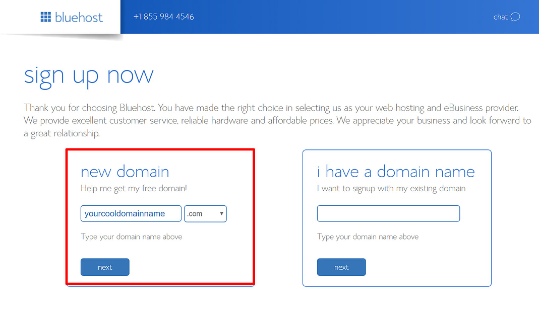 Choose your free domain name.