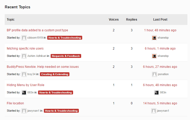 An example of a WordPress community website.