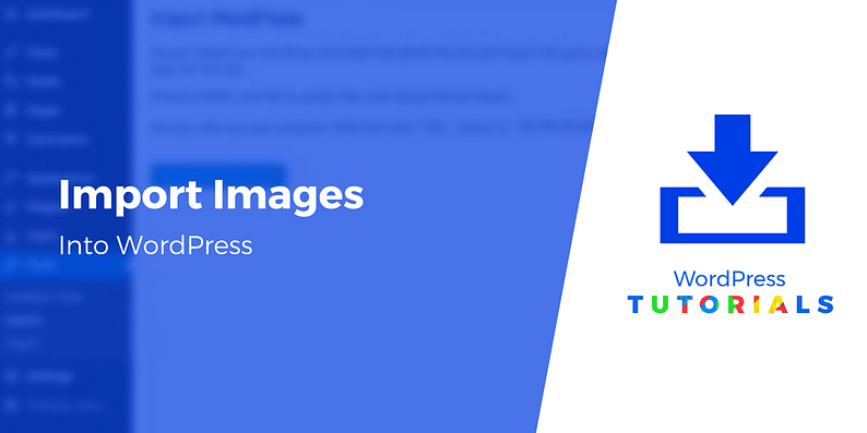 import images into wordpress