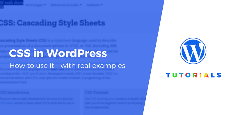 css in wordpress