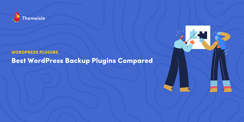 Best wordpress backup plugins.