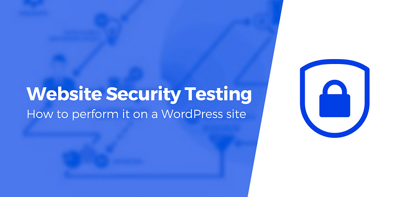 Website Security Testing