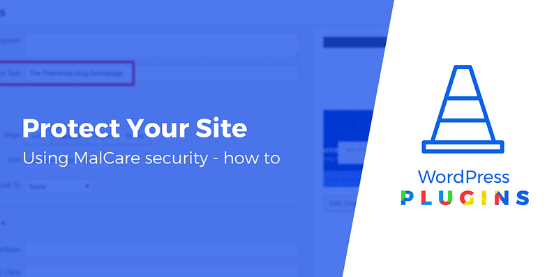 protect your WordPress site