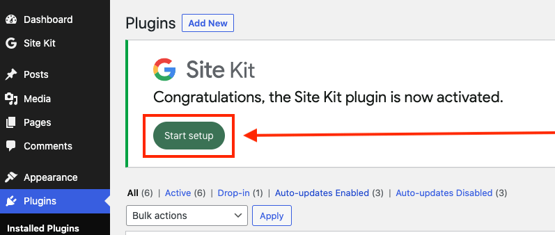 Google Site Kit prompts you to begin the setup process after activation