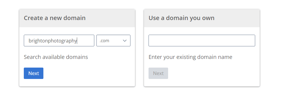 Type in your desired domain during the Bluehost signup process.