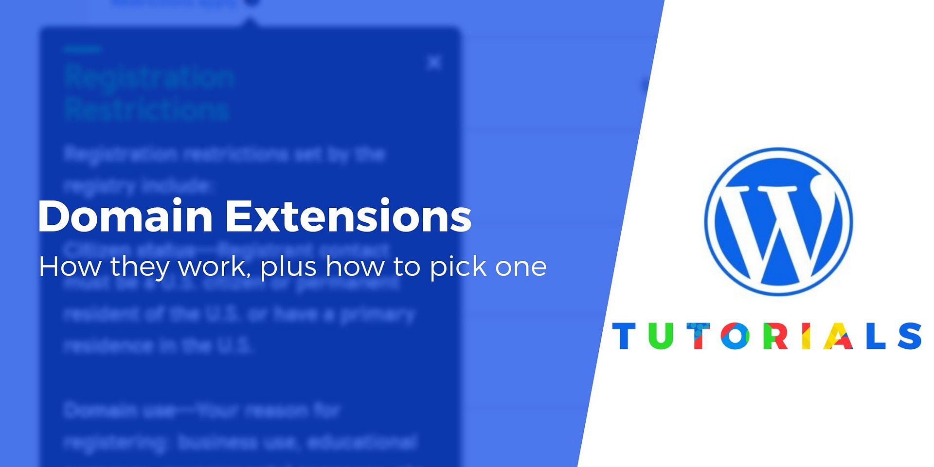 Domain Extensions An Essential Guide How to Choose One and Why
