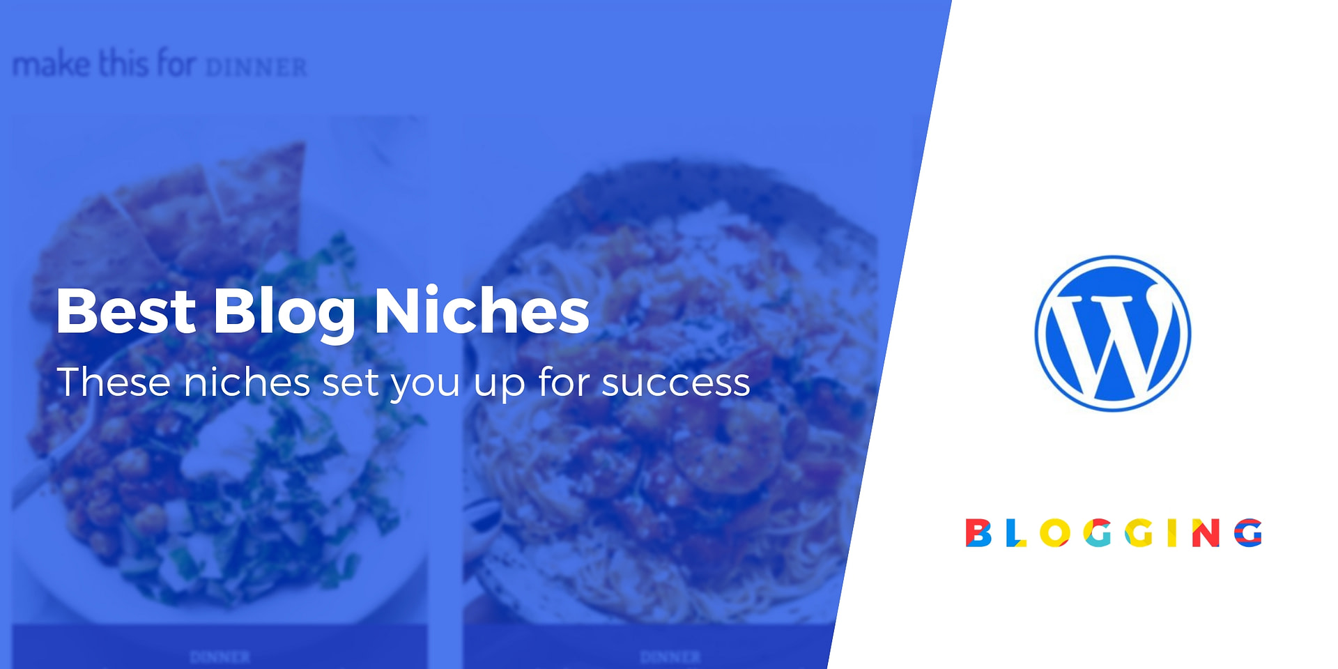 Best Blog Niches 5 Topics That Set You Up for Success