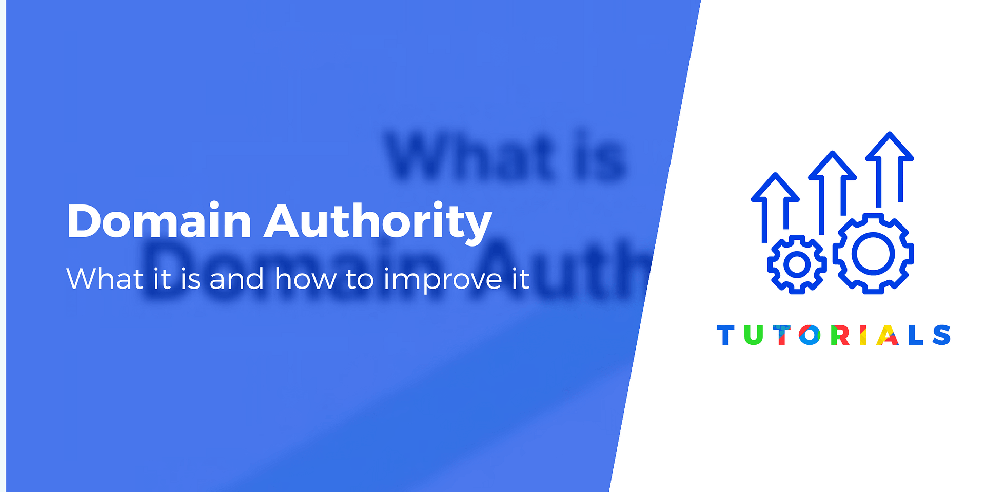 Website Authority
