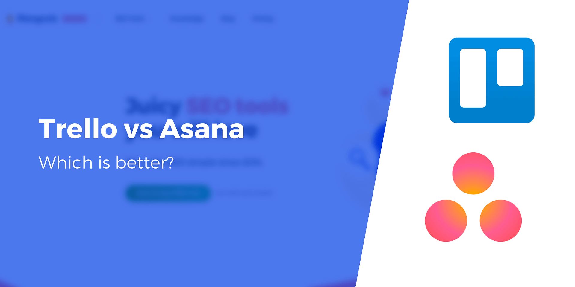 Trello vs Asana: choose the best project management software