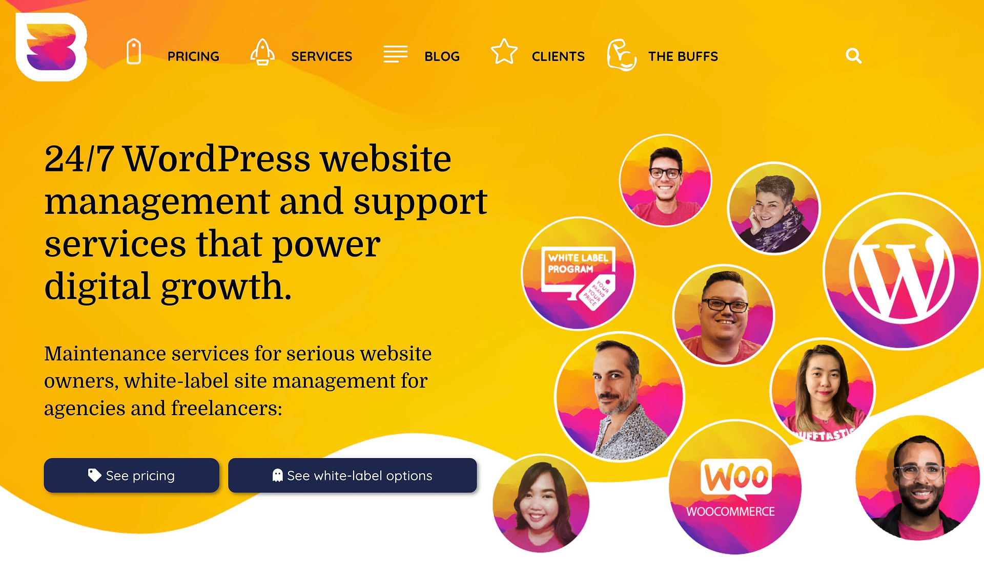 WPBuffs is an example of a WordPress maintenance service