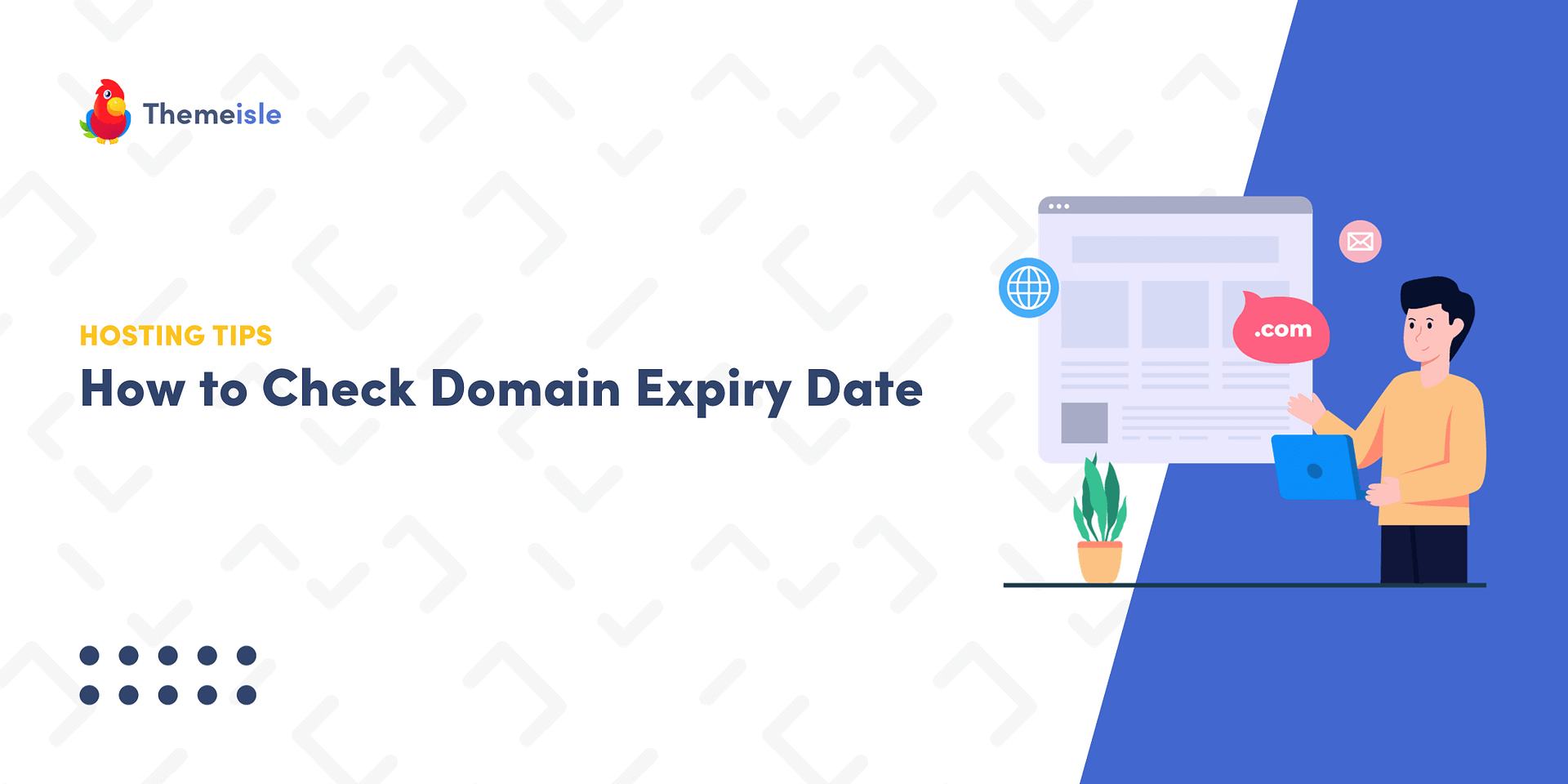 Whois Lookup: How to Check Domain Availability & Expiry Date