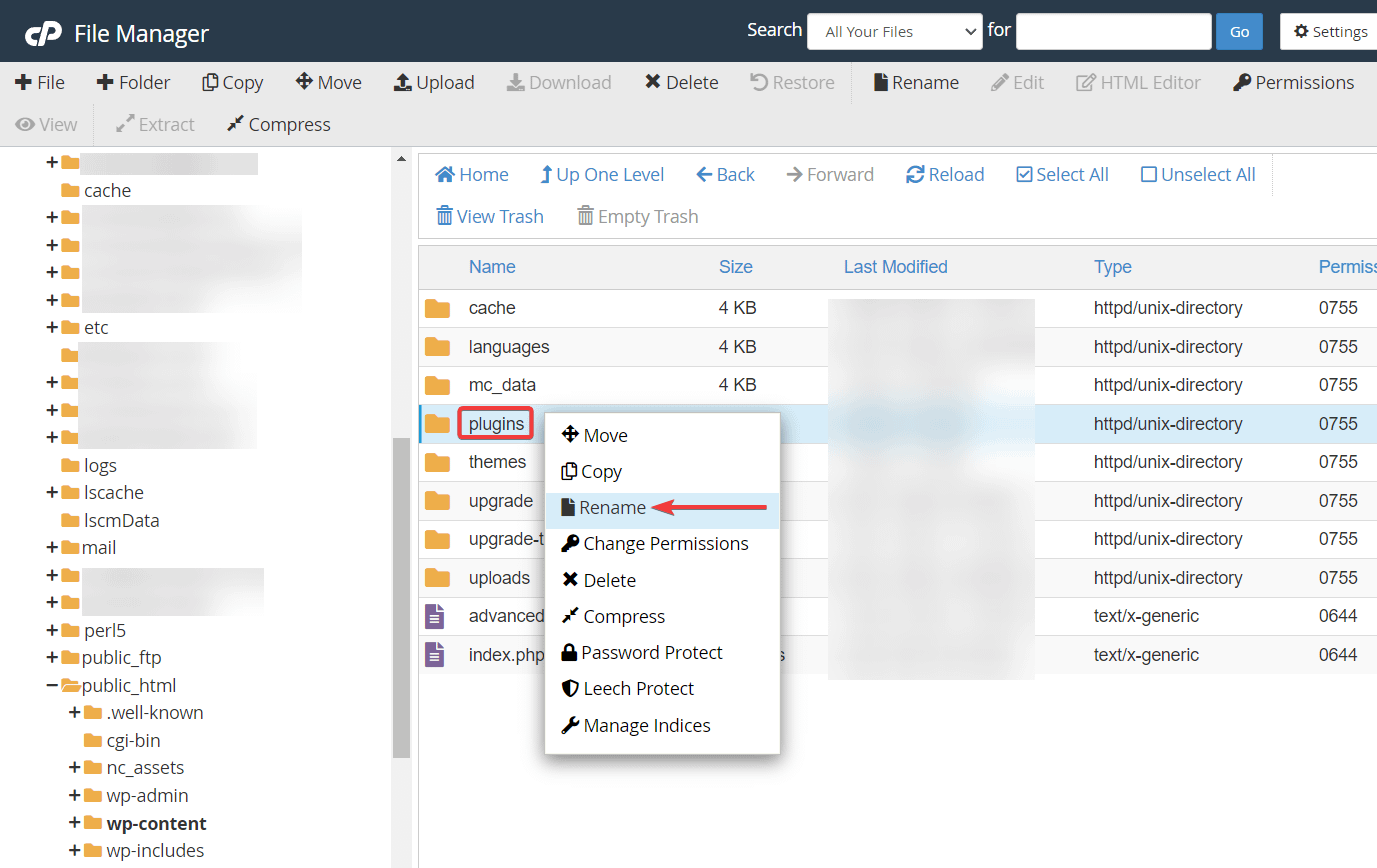 rename plugins folder file manager - http 500 internal server error
