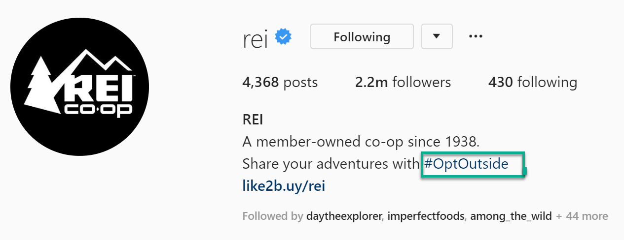 REI - best Instagram bio