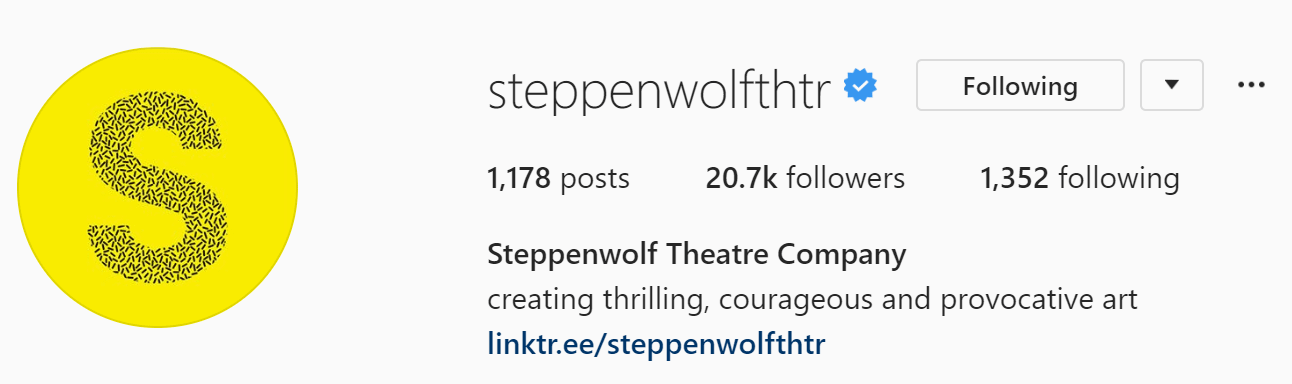 steppenwolf bio - best Instagram bio