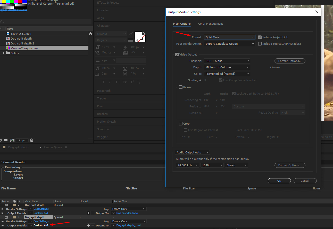 Choose the format in the output section of the render queue