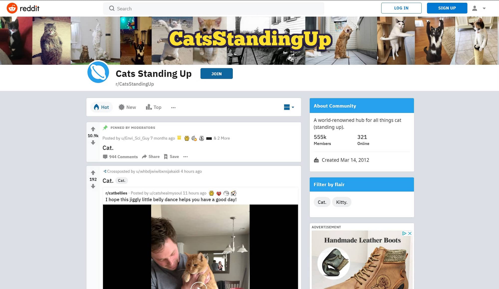 The Cats Standing Up subreddit.