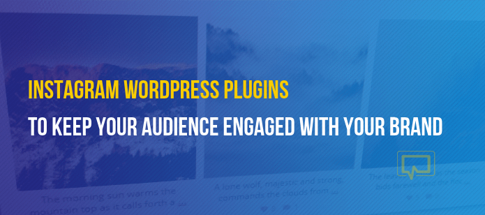 4 Instagram WordPress Plugins to Keep Your Audience Engaged With Your Brand