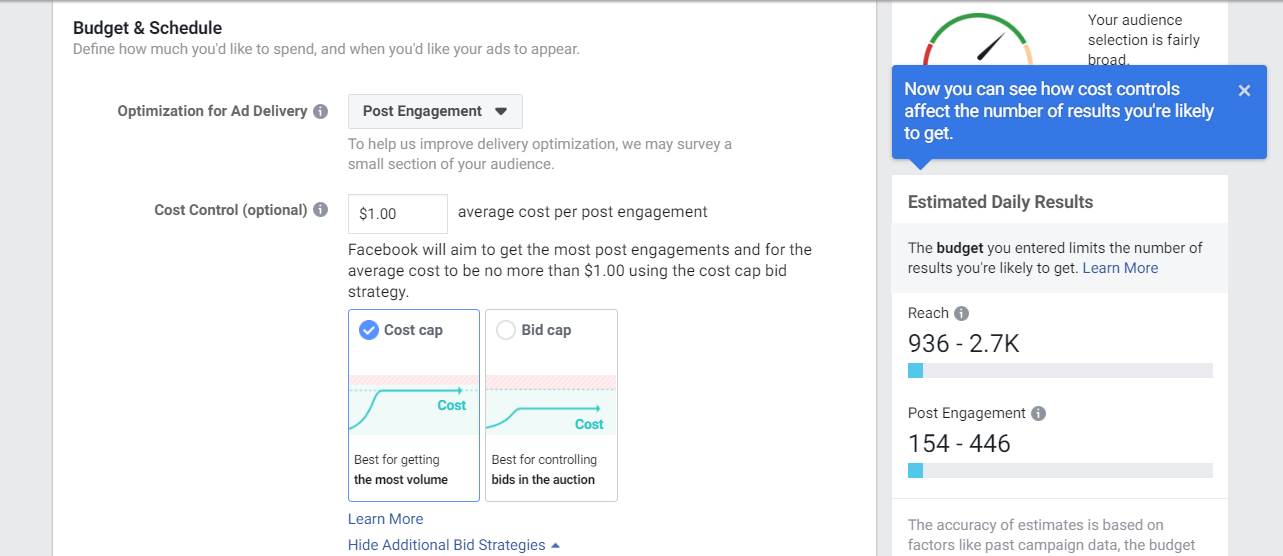 Choosing a Facebook bidding strategy.