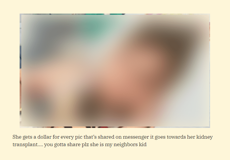 charity misinformation on social media