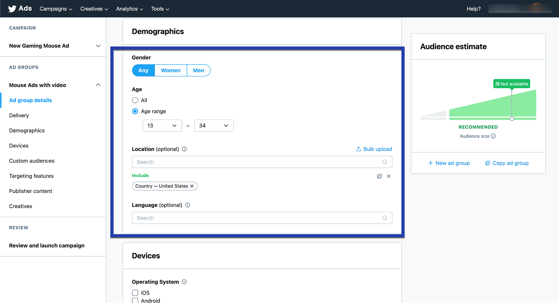 demographics for Twitter Amplify pre-roll ads