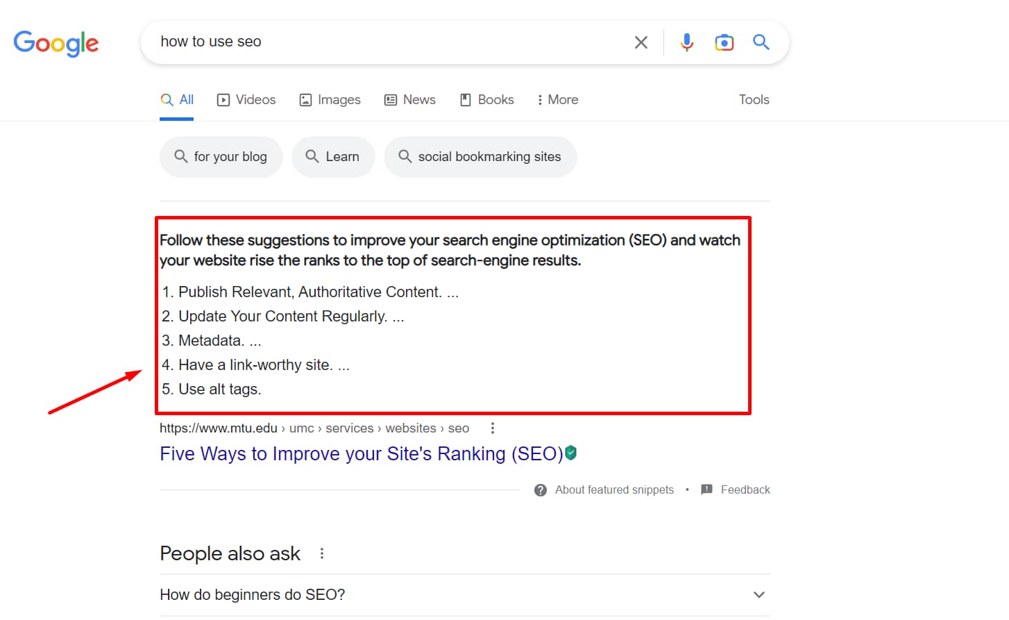 Google SERPs for How to Use SEO