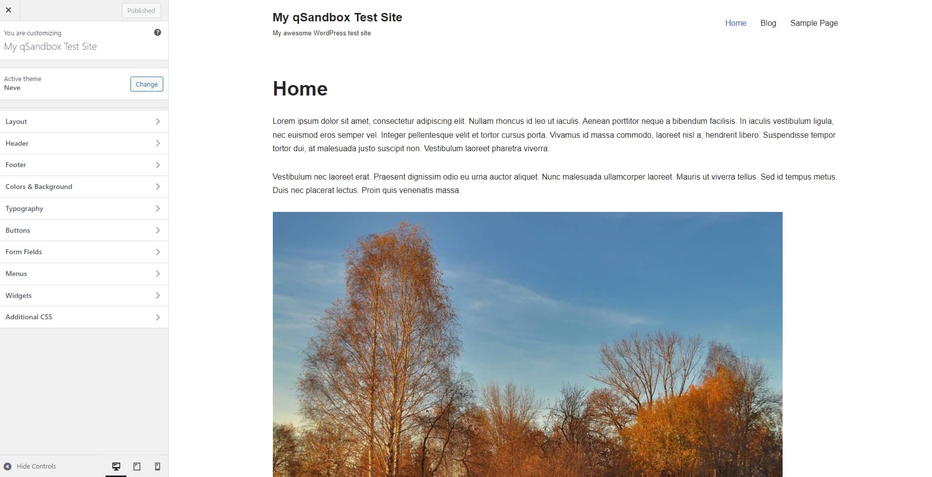 Example of the WordPress customizer.