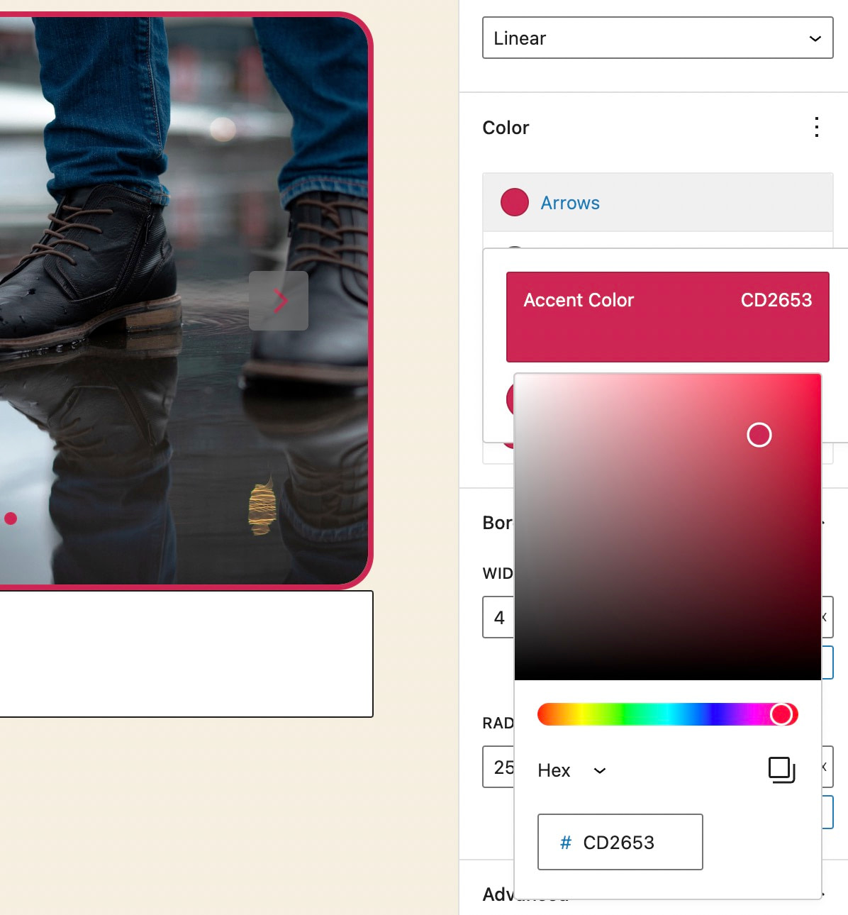 Setting a color for a slider in WordPress 